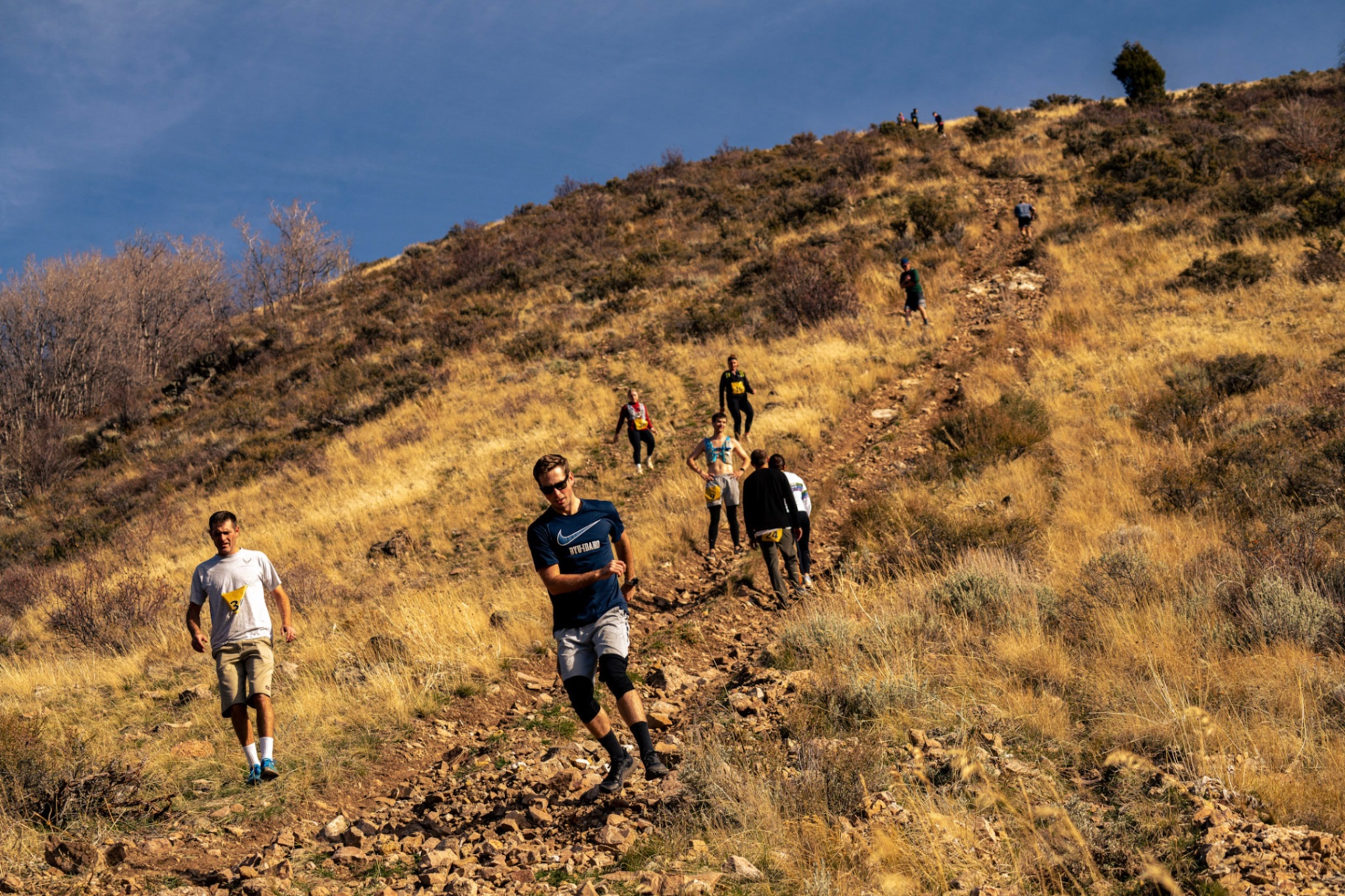 String of runners climbing a steep golden hillside trail