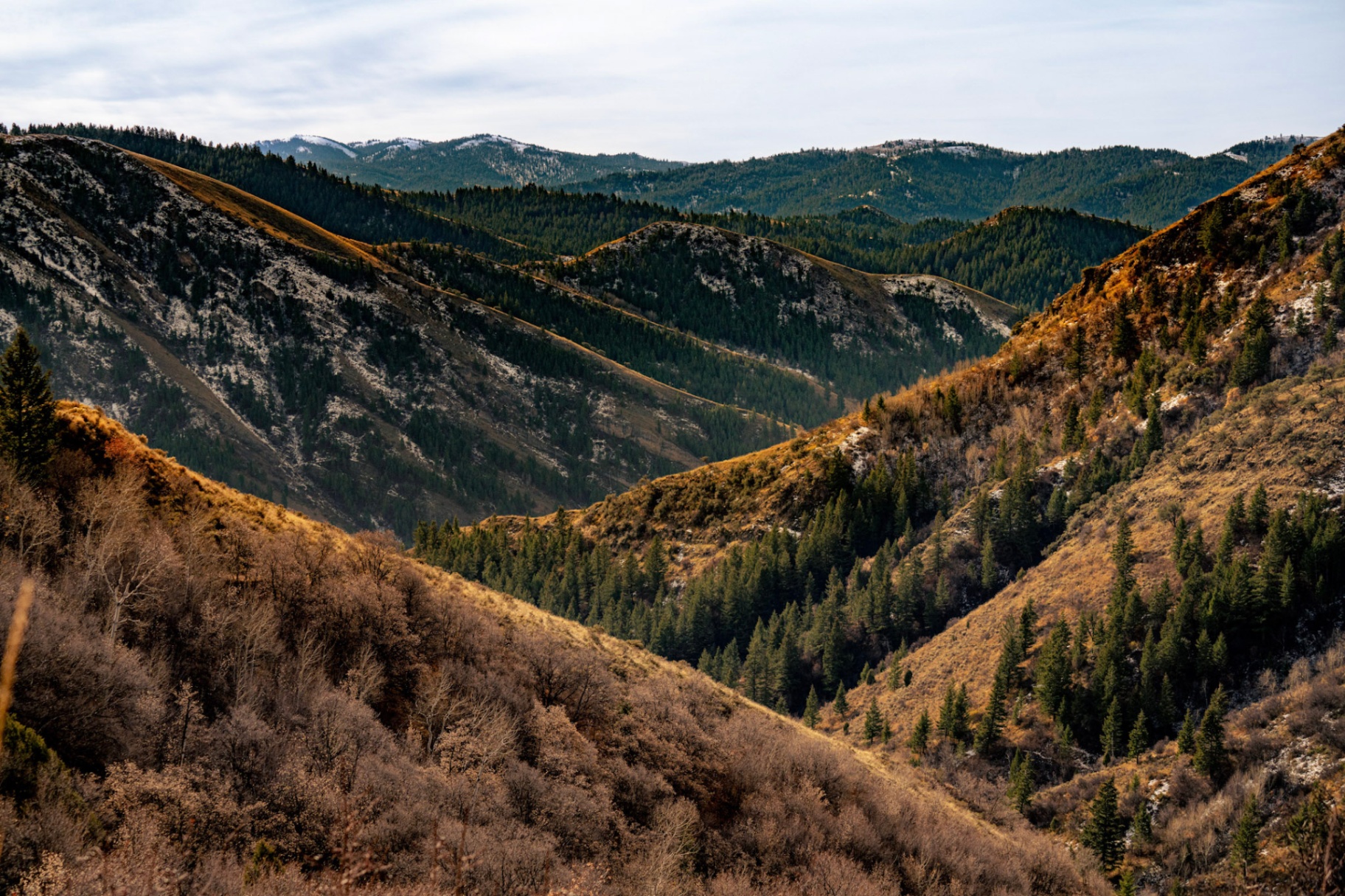 Layered ridges and timbered draws above Fall Creek