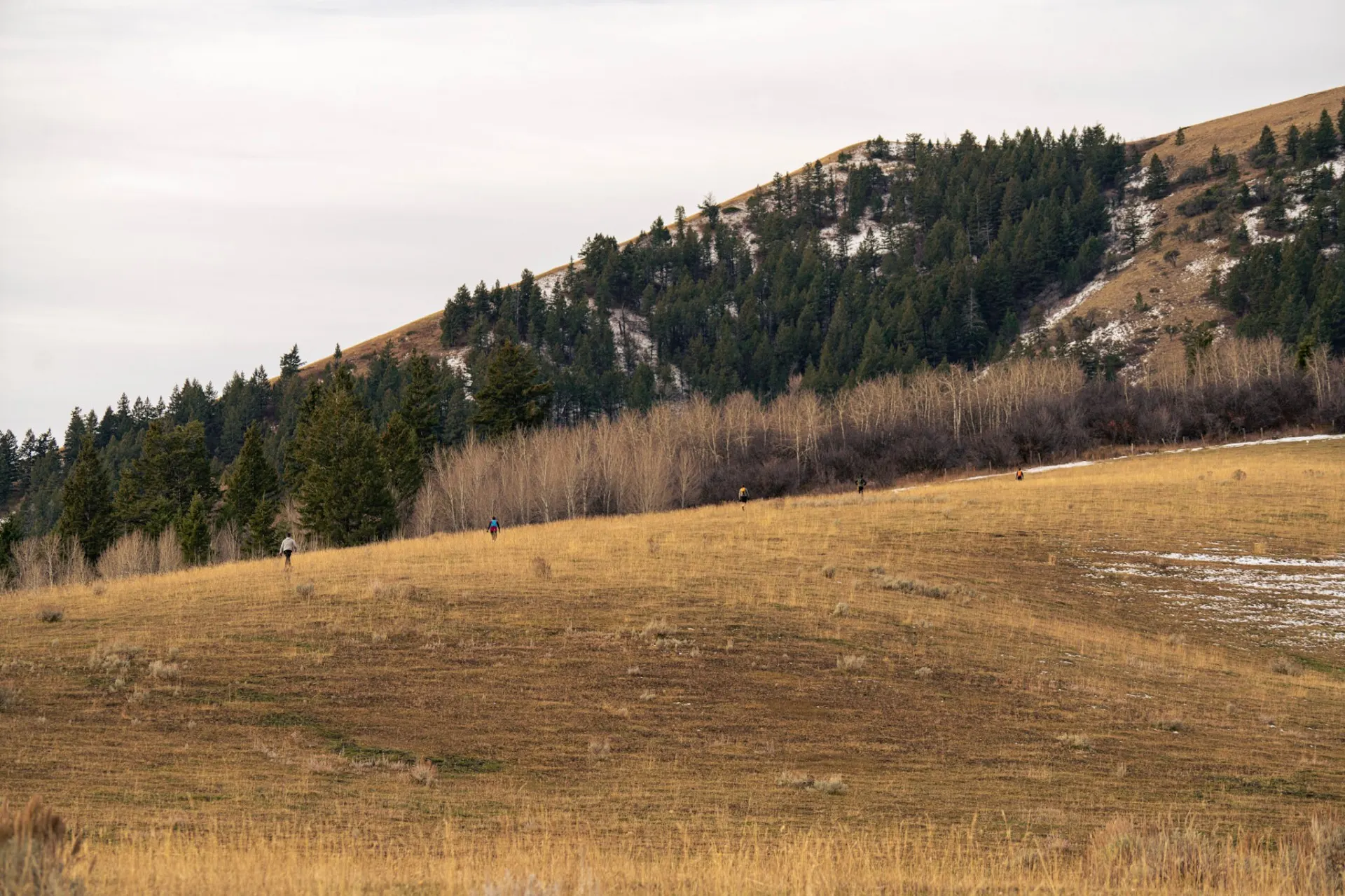 Trail runners on a hillside above Swan Valley, Idaho — the Fall Creek Beast trail race