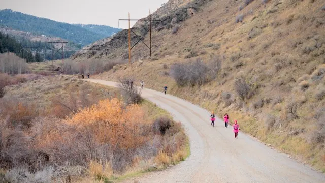 Runners on a dirt road below the power lines